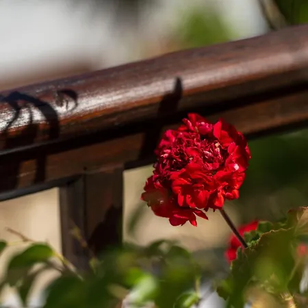 Ilianthos Traditional Maisonette Case de vacanță