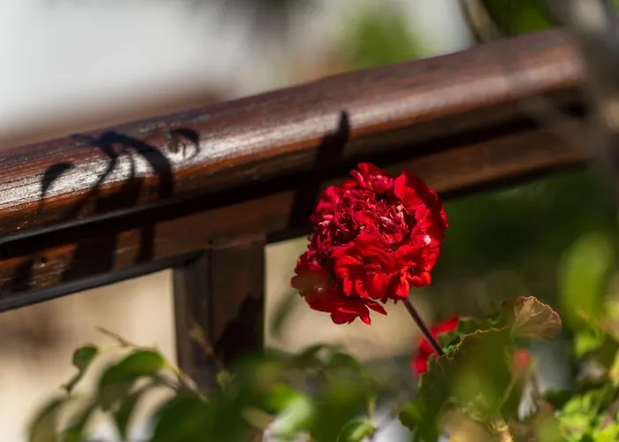 Ilianthos Traditional Maisonette Hébergement de vacances